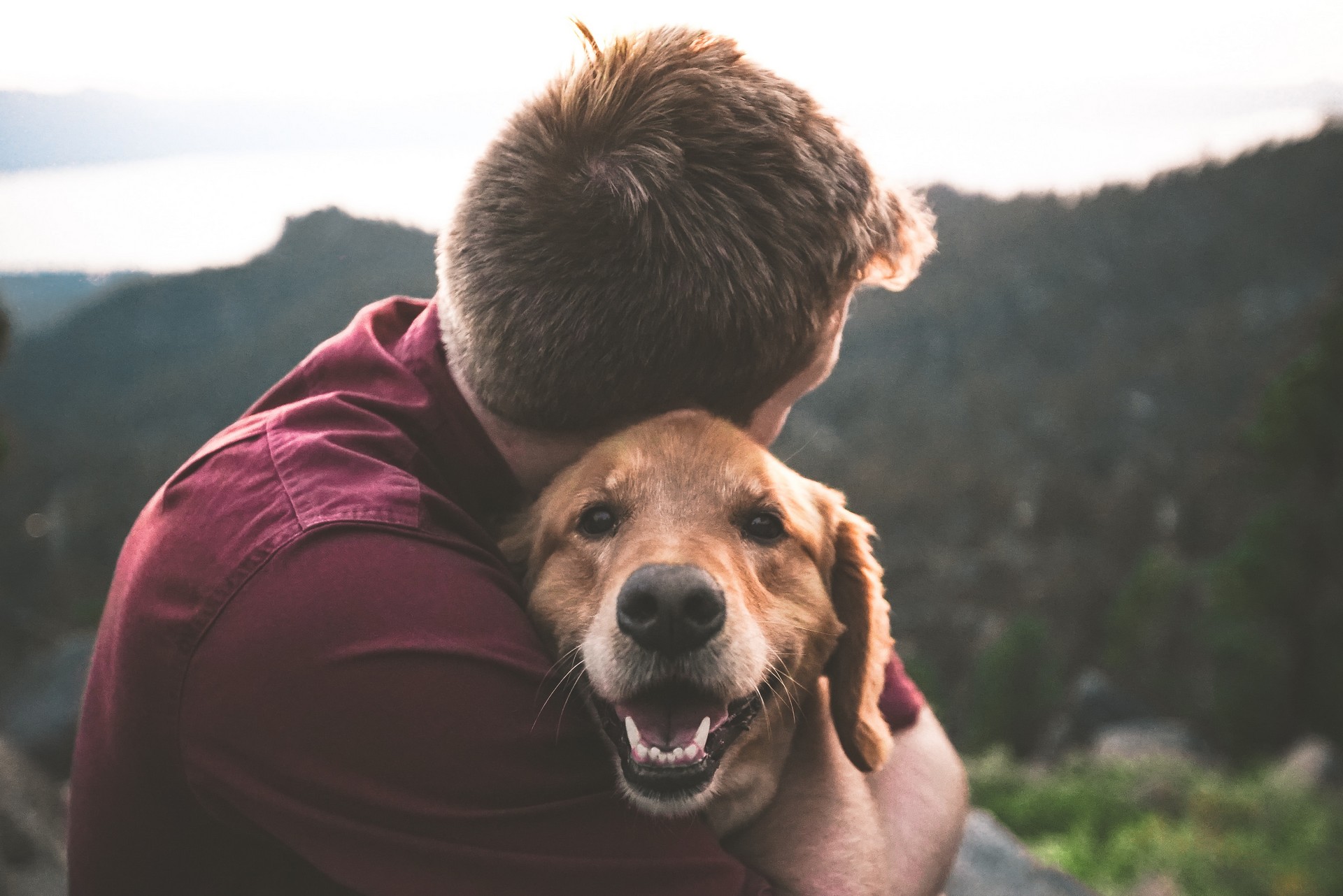 My dog is my Life!